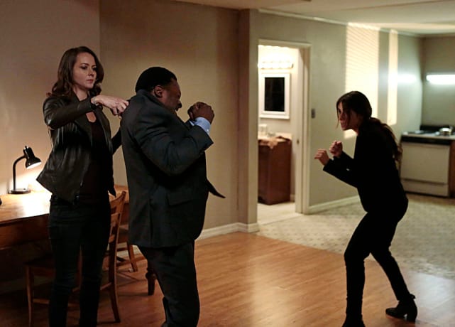 Root and shaw