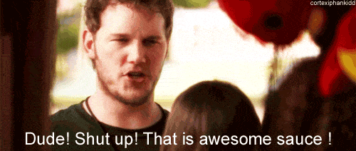 Andy dwyer parks and rec