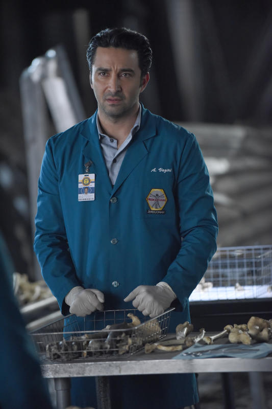 Arastoo looks over the bones