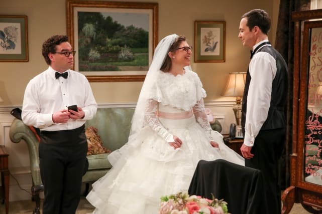 The wedding plan the big bang theory
