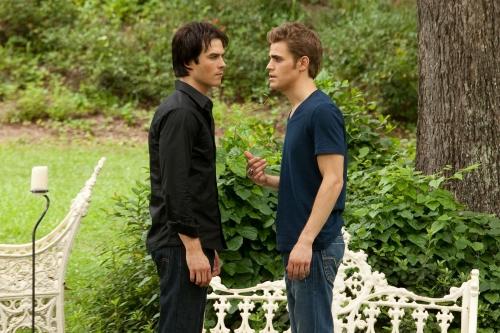 Cute Salvatores