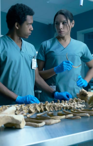 Dr. Allen Baitz Assemble A Pig - Coroner Season 1 Episode 5
