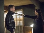 Return of Nyssa - Arrow