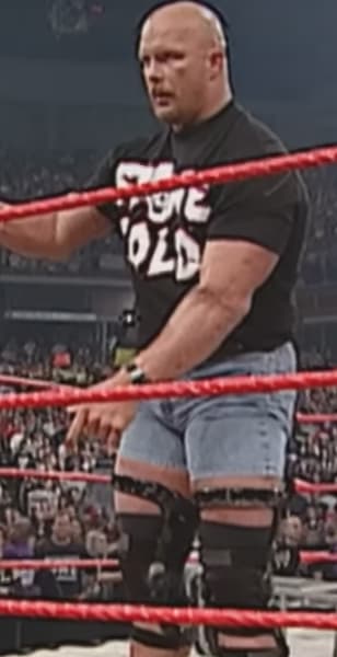Stone Cold Steve Austin on WWE