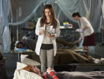 Zoe's Flu Emergency