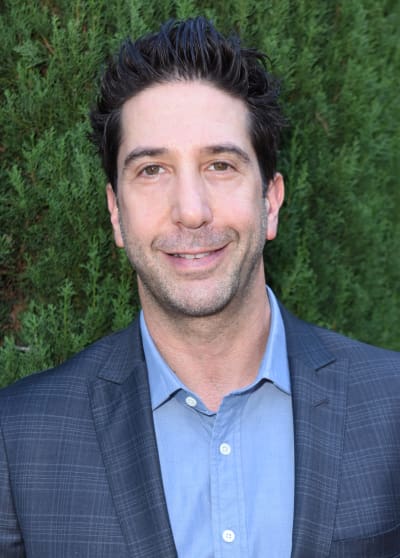 David Schwimmer Attends Event