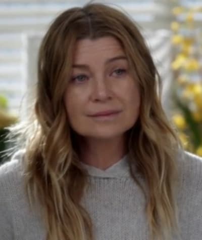 Mer Goes Home - Grey's Anatomy Season 17 Episode 15