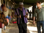Leo & Walter Investigate At the Stables