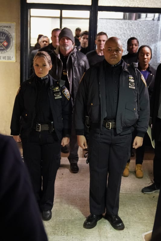 Lyle Lovett Guest Stars Blue Bloods Season 10 Episode 14 Tv Fanatic