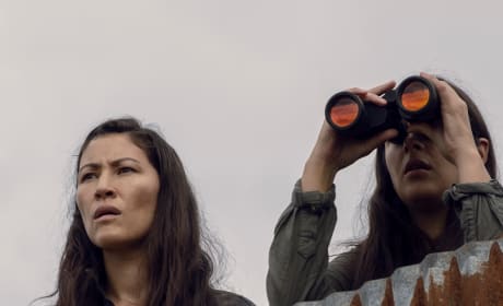 Watch the walking dead season 9 episode 10 online