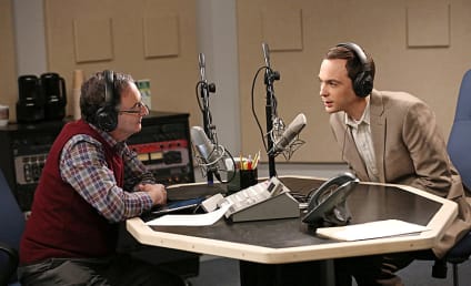 The Big Bang Theory: Watch Season 7 Episode 10 Online