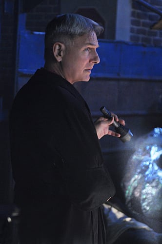 Gibbs at Work
