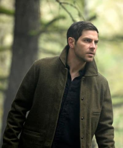 grimm 611
