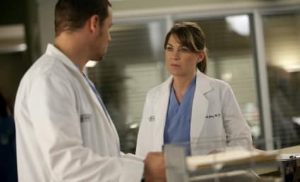 Grey's Anatomy Season Finale Review: "Unaccompanied Minor"