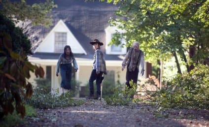 The Walking Dead: Watch Season 4 Episode 9 Online