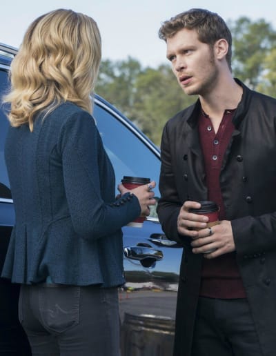 klaroline 7