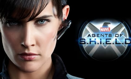Cobie Smulders to Reprise Agents of SHIELD Role, Team Up with Coulson