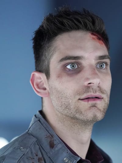 Watch agents of cheap shield online