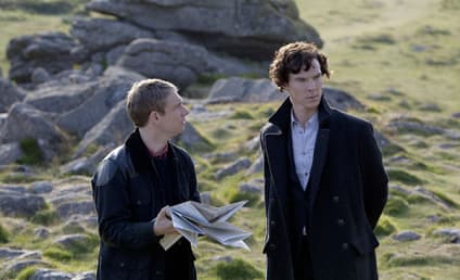 Sherlock Review: "The Hounds of Baskerville"