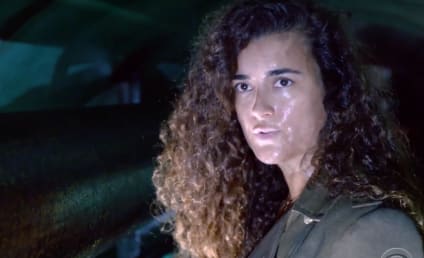 NCIS Season 17 Trailer Reveals Why Ziva is Back