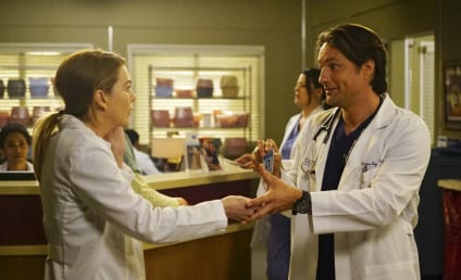 Watch Grey's Anatomy Online: Season 13 Episode 23