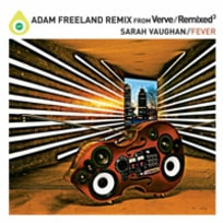Fever (Adam Freeland Remix)