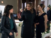 nikki staines law and order svu