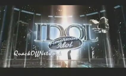 American Idol Rundown: Who Was Your Favorite Finalist?