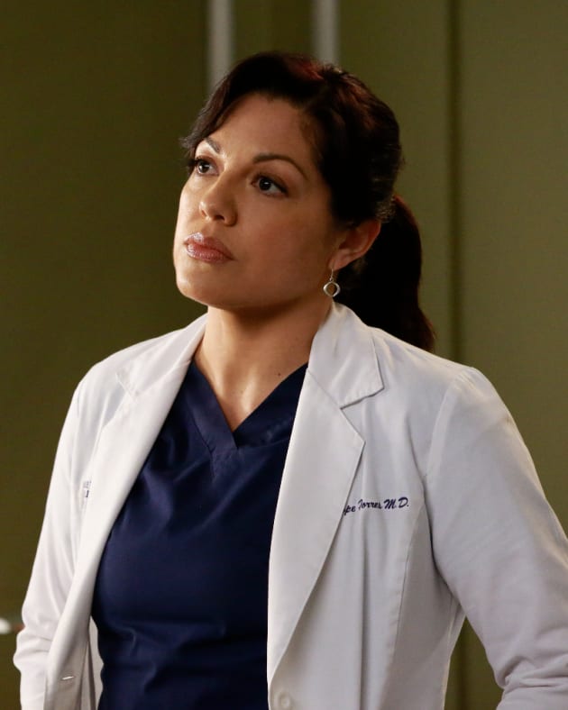 Callie Looks Thoughtful - Grey's Anatomy Season 12 Episode 10 - TV Fanatic