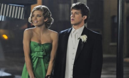 90210 Spoilers: The Future of Naomi and Liam