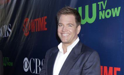 Michael Weatherly Teases NCIS Season 13, Takes Issue with Grey's Anatomy