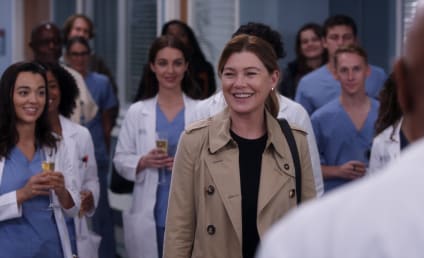Grey's Anatomy Season 19 Episode 7 Review: I'll Follow the Sun