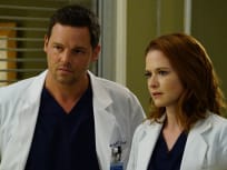 Grey's anatomy hotsell season 12 online