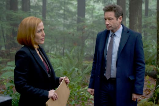 Animal Attack - The X-Files
