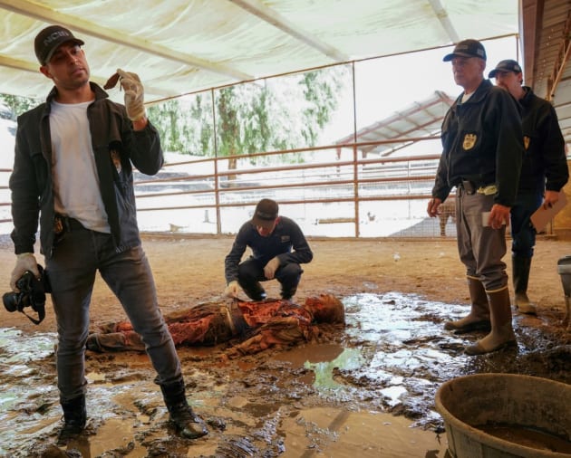 Stinky Crime Scene - NCIS Season 17 Episode 6