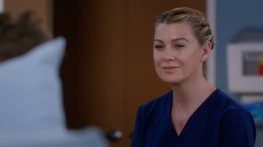 Grey s Anatomy Season 14 Episode 17 Review One Day Like This TV