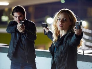 12 monkeys 2025 watch online