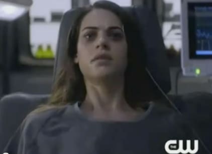 Nikita season online 1 watch online