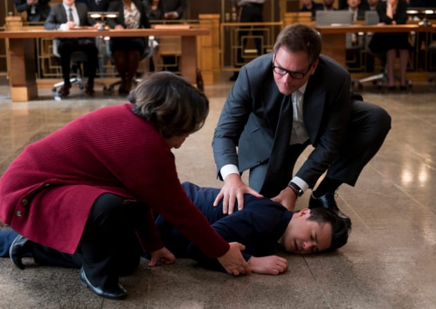 Family Drama - Bull