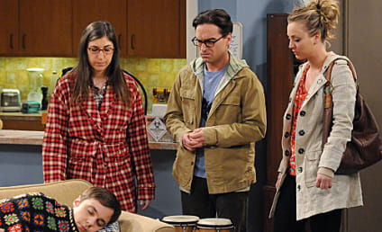 The Big Bang Theory Review: Call of the Wild Sheldon