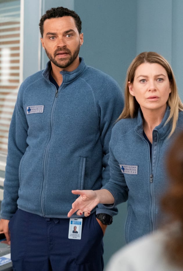 Grey s Anatomy Season 15 Episode 20 Review The Whole Package TV