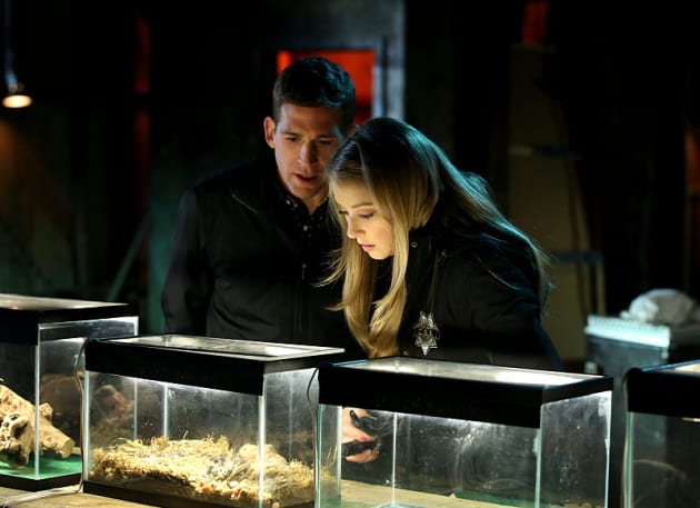The Kidnapping - CSI