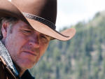 Walt Investigates
