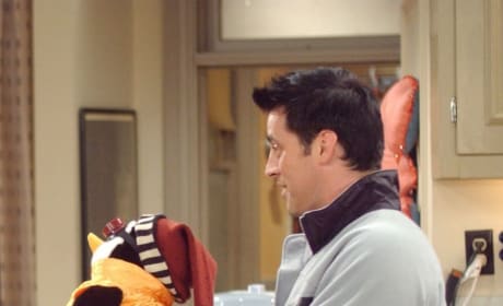 hugsy and joey