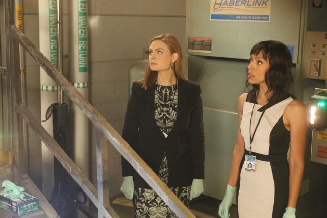 Brennan and Cam Discover the Remains of a Body at a Forensic Science Convention - Bones