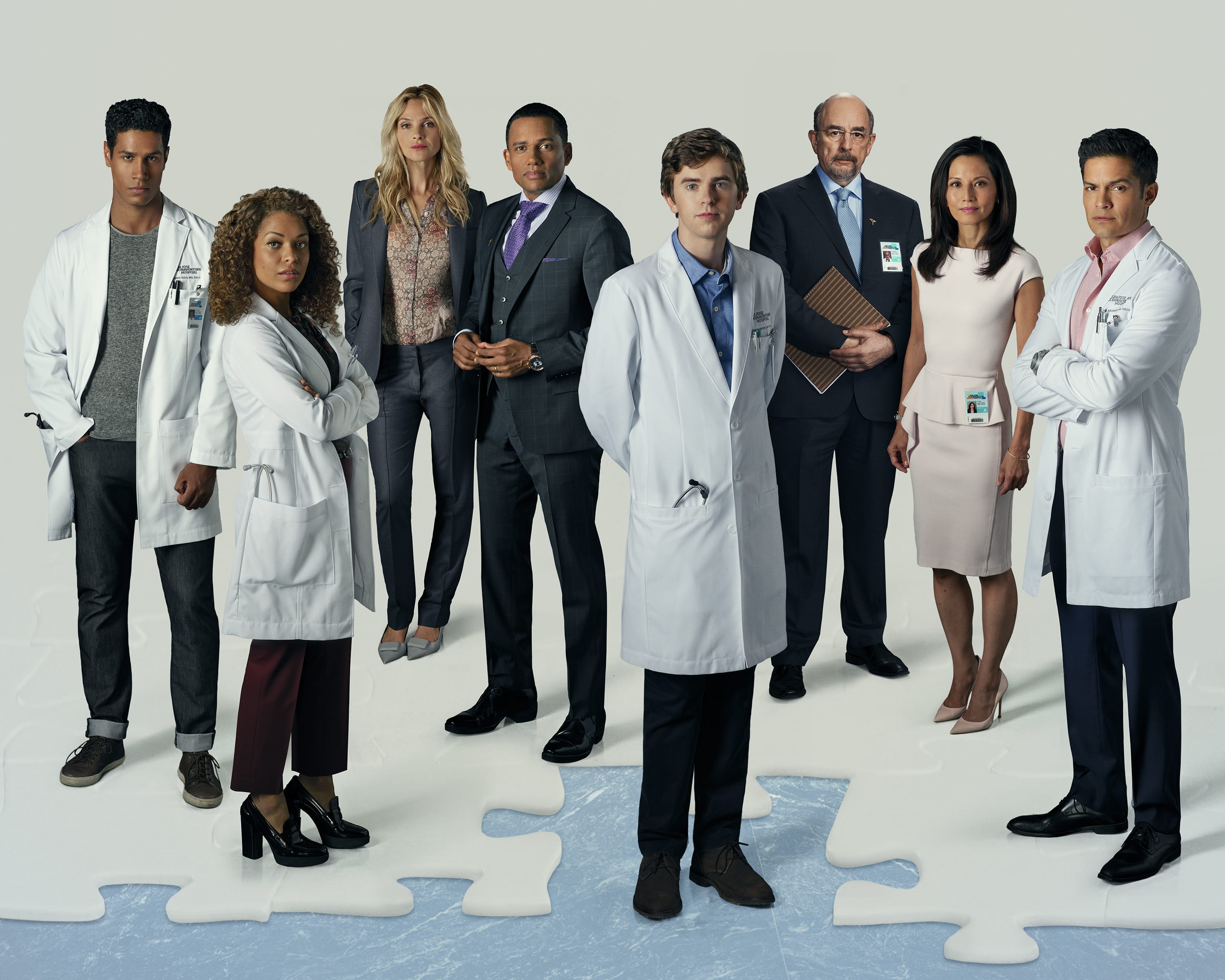 The Good Doctor Season 1 Cast - TV Fanatic