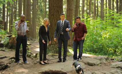 Psych Review: The Words
