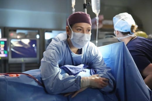 Grey s Anatomy Season 11 Episode 15 Review I Feel the Earth Move
