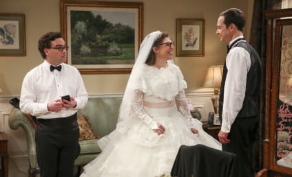 Watch The Big Bang Theory Online: Season 11 Episode 24