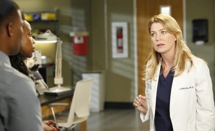 Grey's Anatomy Season 11: All About Meredith!